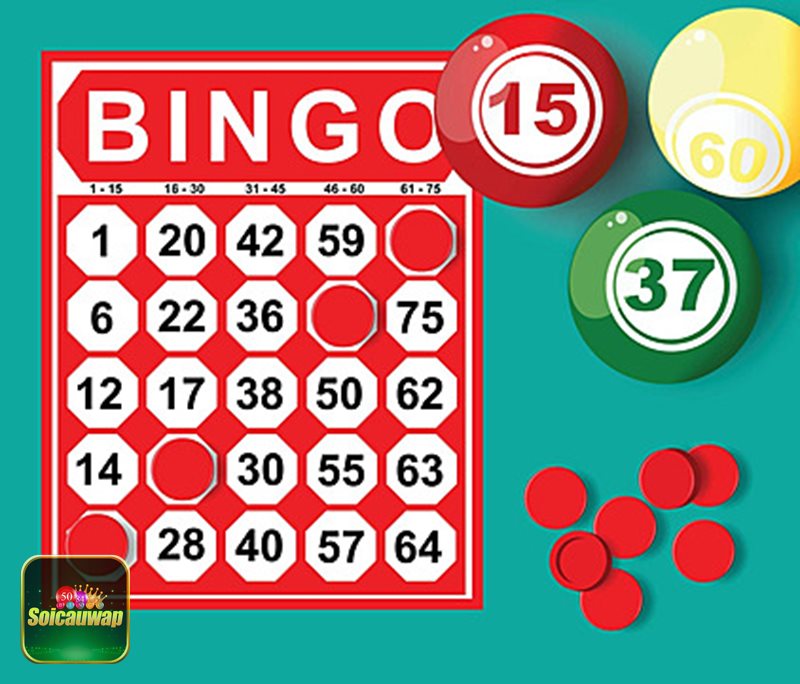 Xổ số long an hôm nay - Quy trình đối chiếu từng bước Xổ số long an hôm nay - Quy trình đối chiếu từng bước